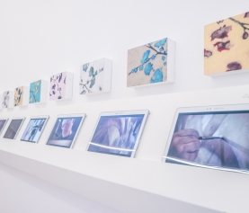 il Polline alla Triennale di Milano – come si allestisce una mostra?